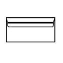 DL White Wallet Envelope
