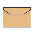 DL White Wallet Envelope